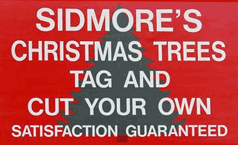 Sidmore's Lakeview Christmas Tree Farm