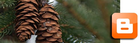 Christmas Tree News at NHCT blog