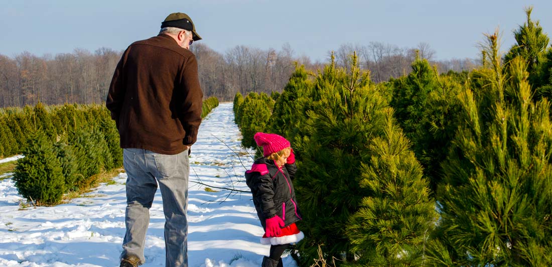 Christmas Tree Shoppers